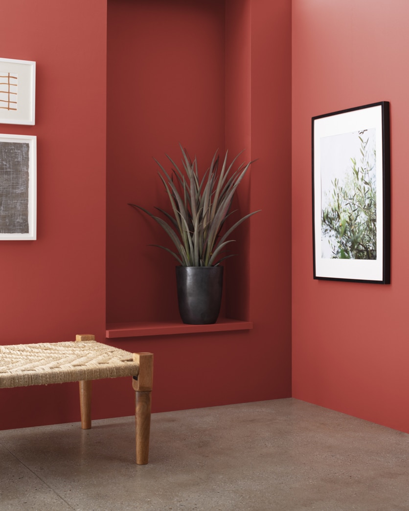 Painted wall in King's Red CW-335