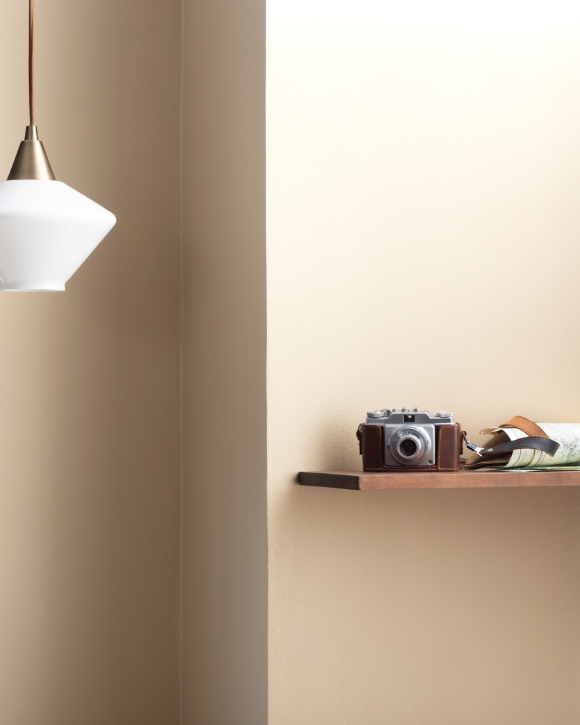 Painted wall in Lambskin 1051