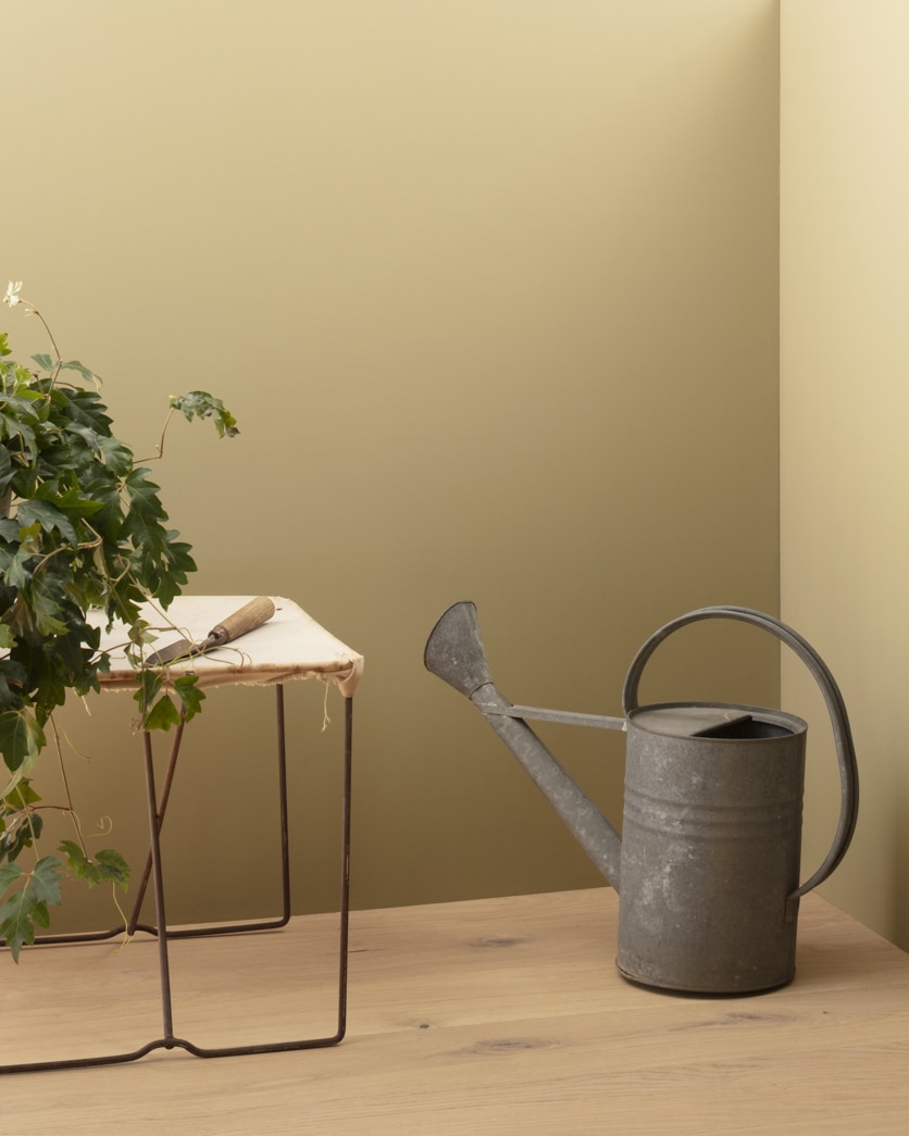 Painted wall in Late Wheat CC-240
