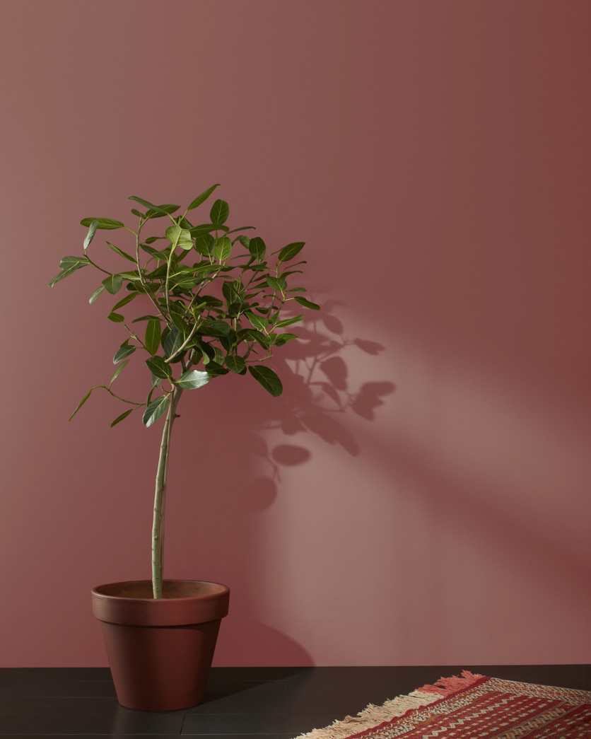 Painted wall in Laurentian Red CC-152