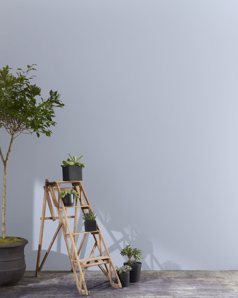 Painted wall in Lavender Blue 1438