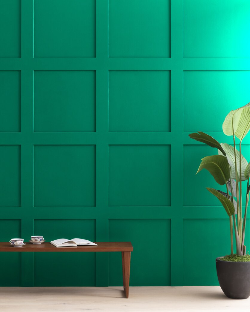 Painted wall in Lawn Green 2045-20