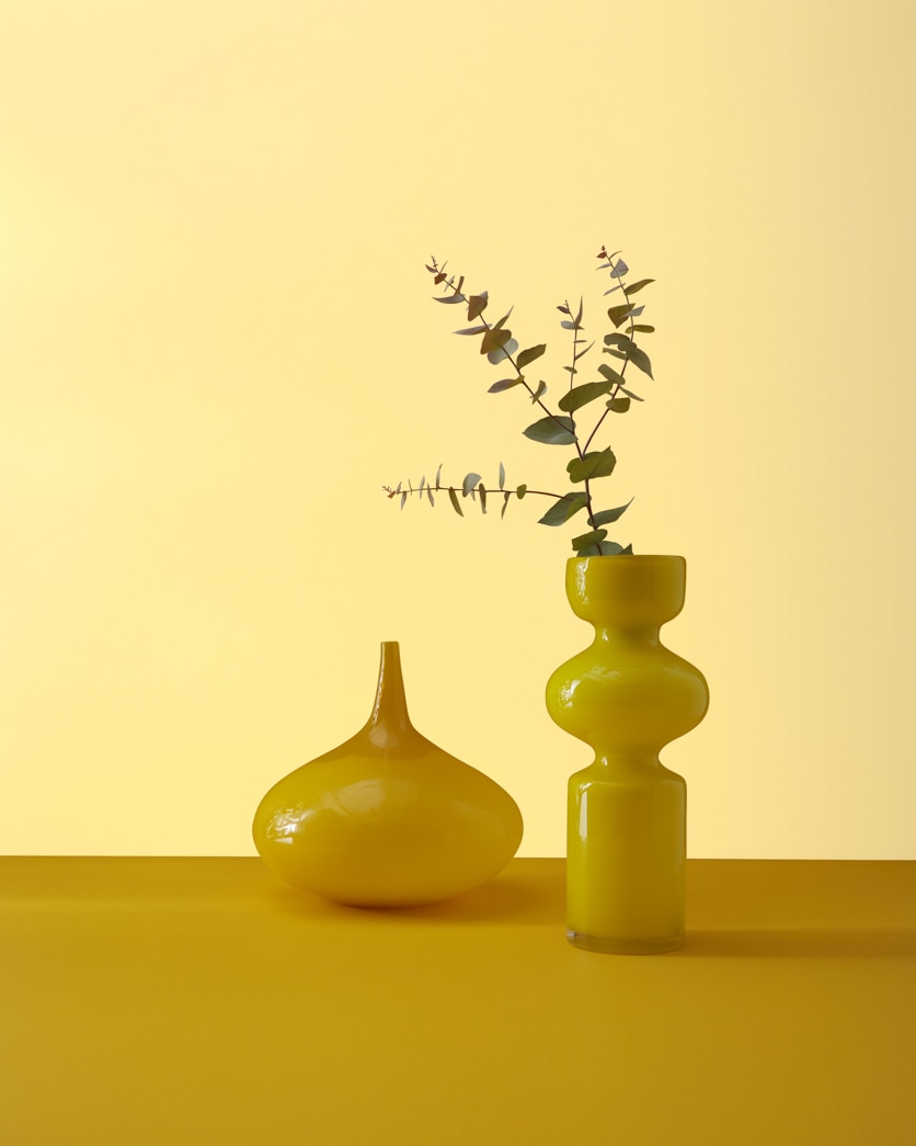 Painted wall in Lemon Drops 2019-50