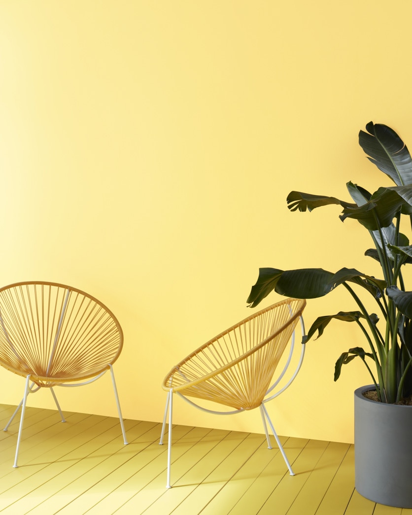 Painted wall in Lemon Grass 339
