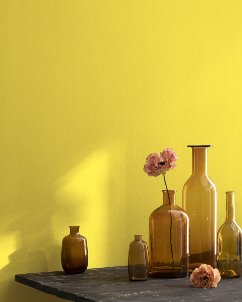 Painted wall in Lemon Grove 363