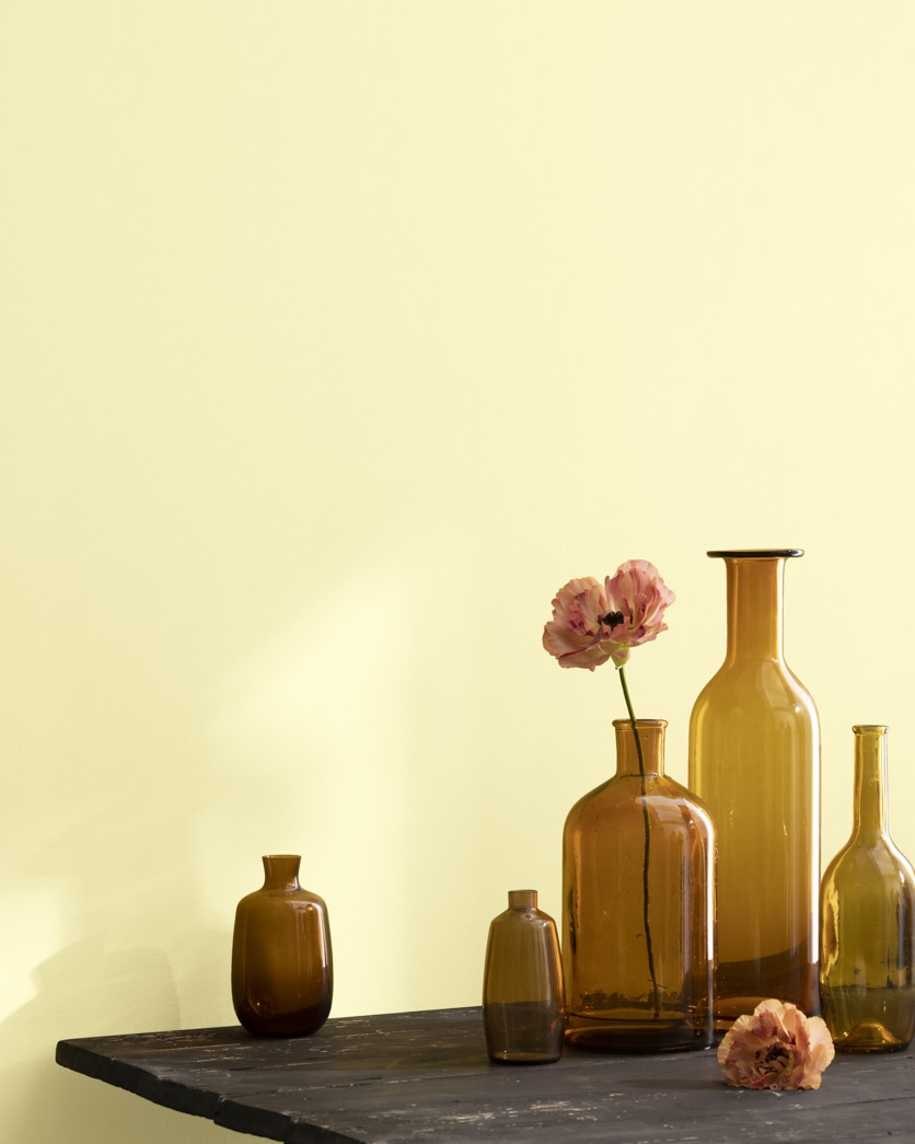 Painted wall in Lemonade 2024-60
