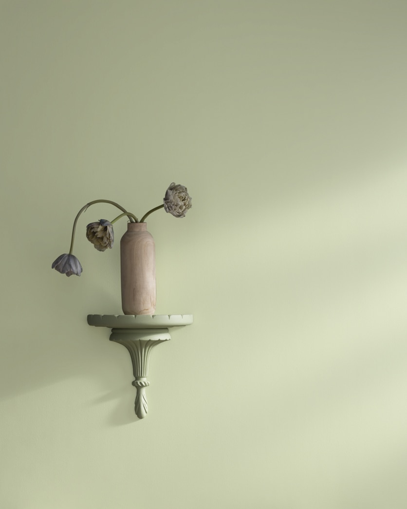 Painted wall in Levingston Green CW-490