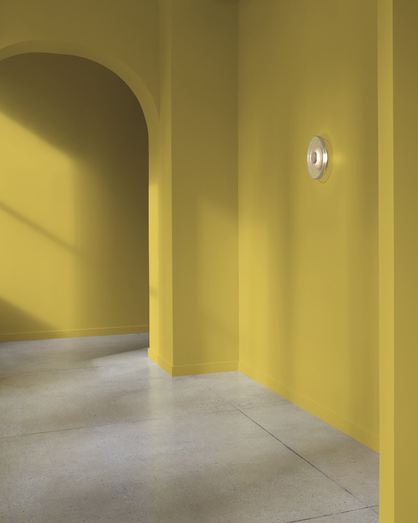 Painted wall in Lichen Green 2150-20