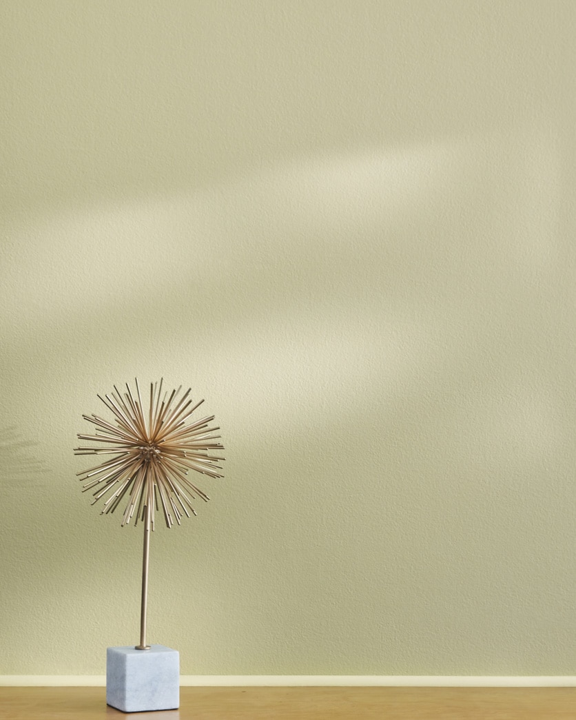 Painted wall in Lichen Stone CSP-820