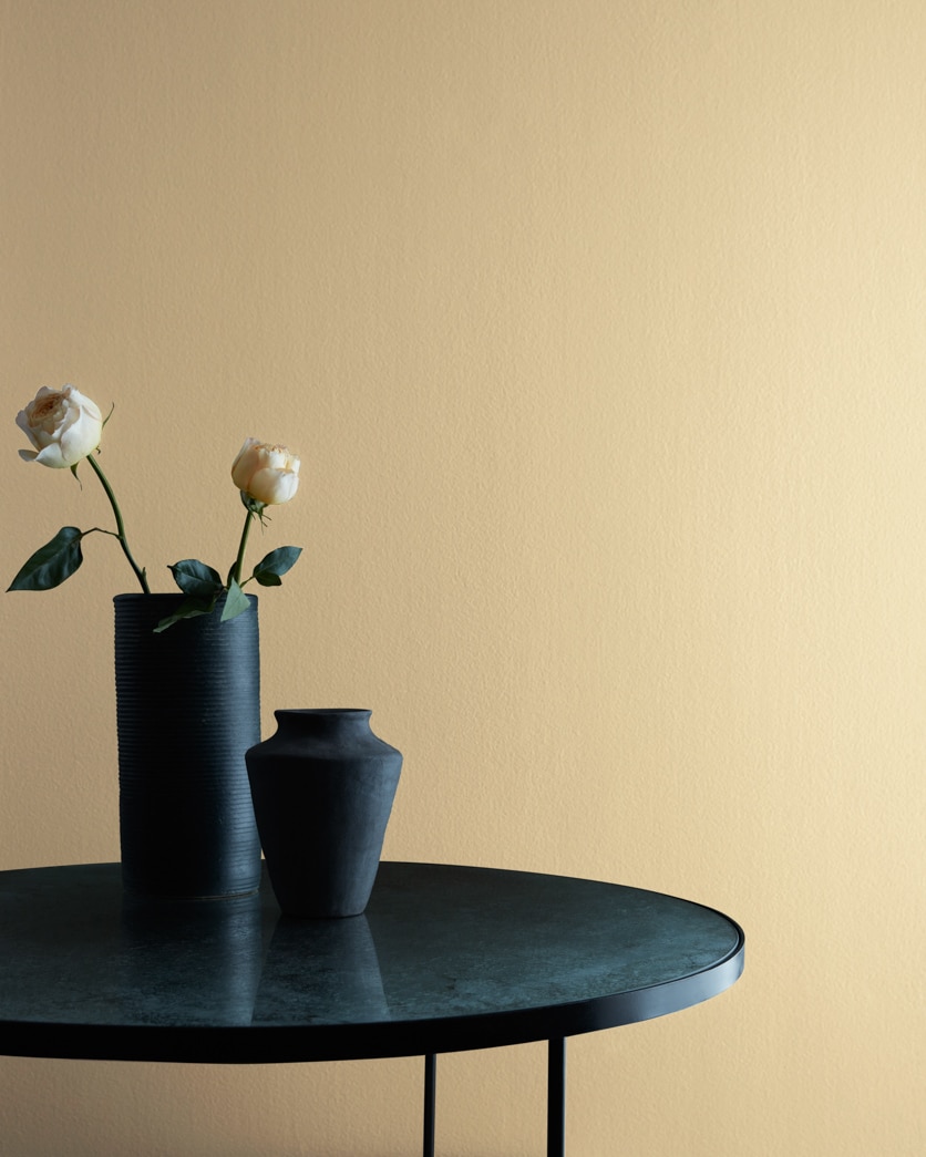 Painted wall in Light Khaki 2148-40