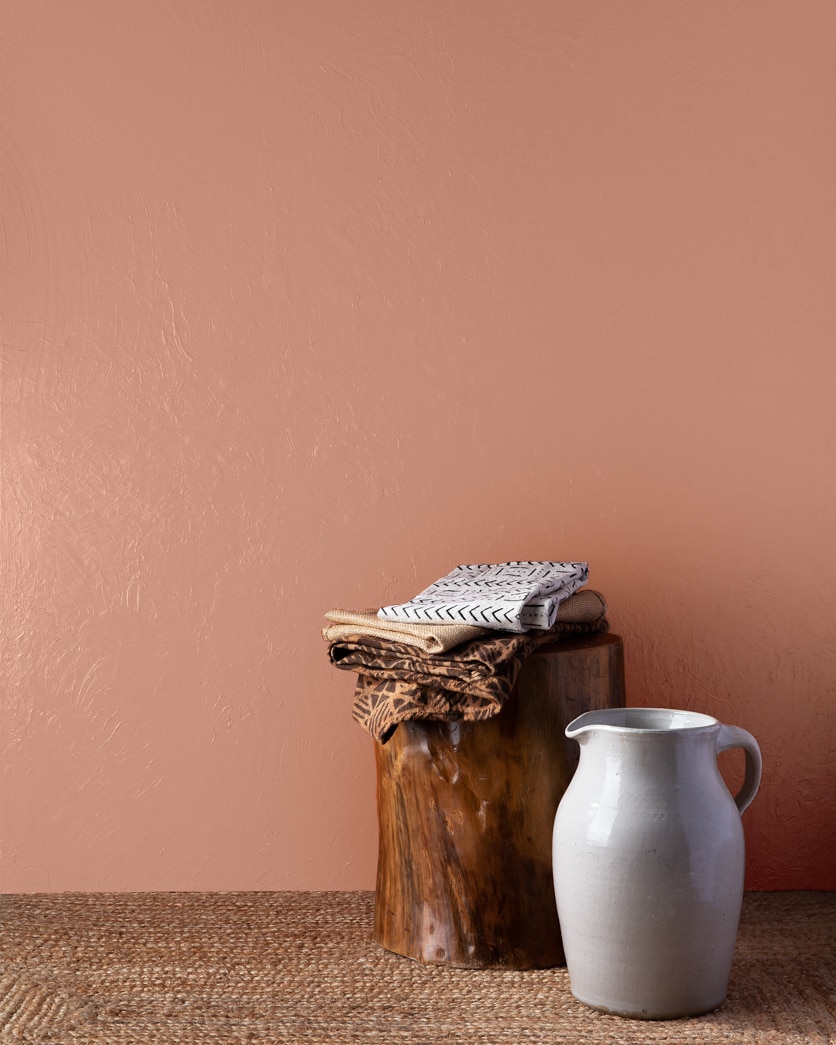 Painted wall in Lightfoot Salmon CW-220