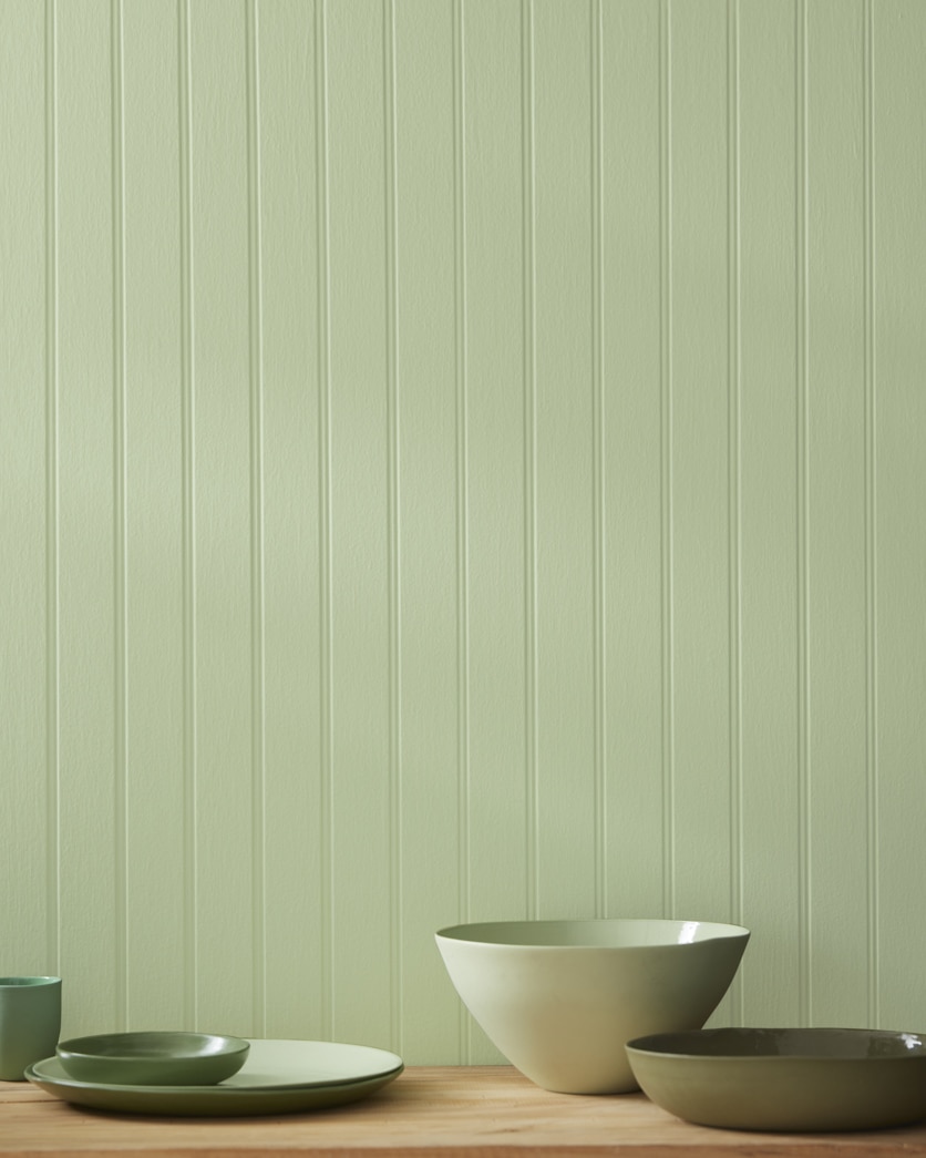 Painted wall in Lily Pad 480
