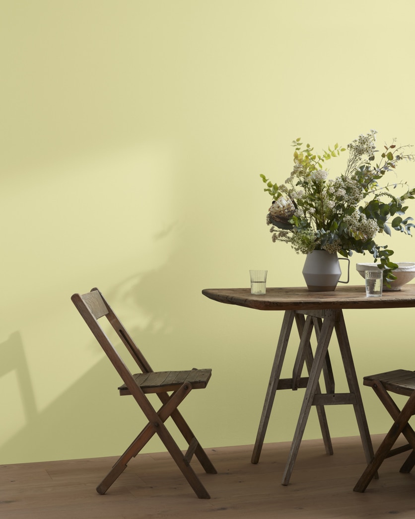 Painted wall in Lime Sherbet CSP-845