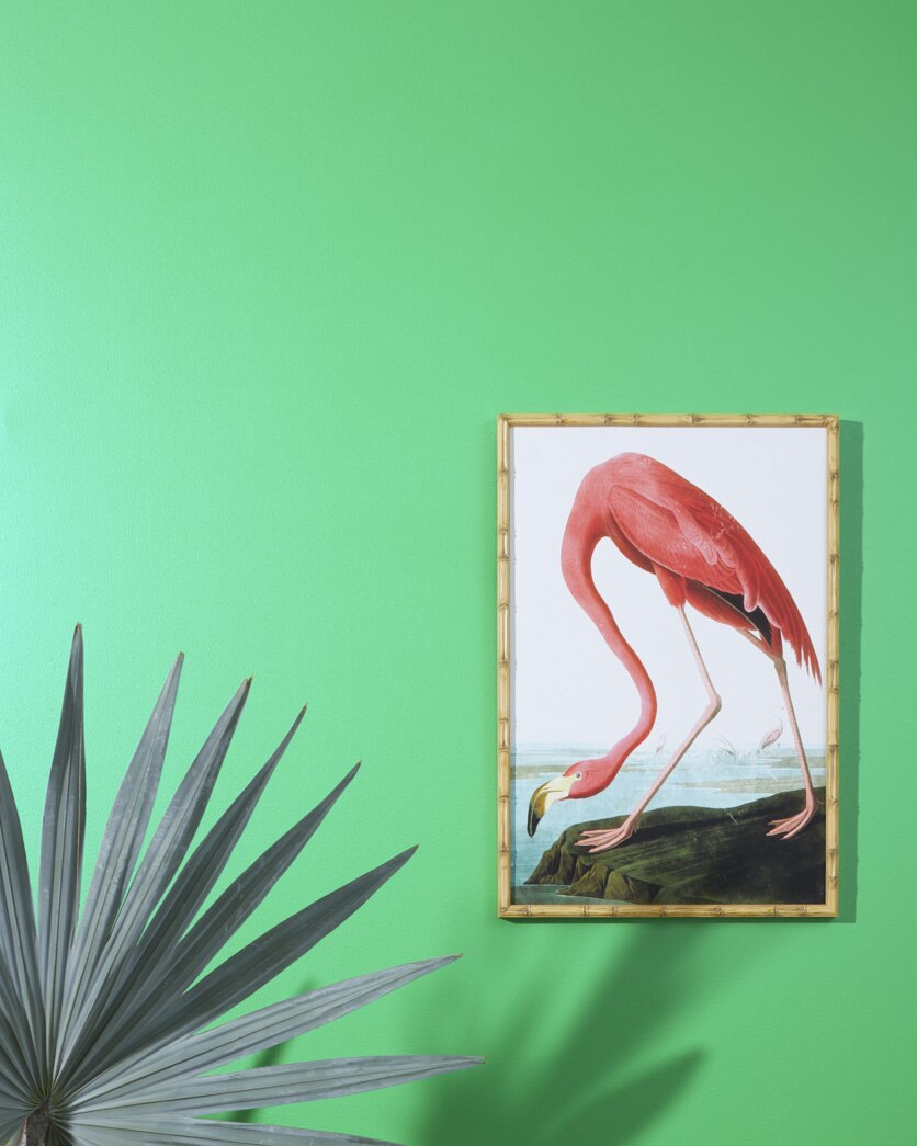 Painted wall in Lime Tart 2033-40