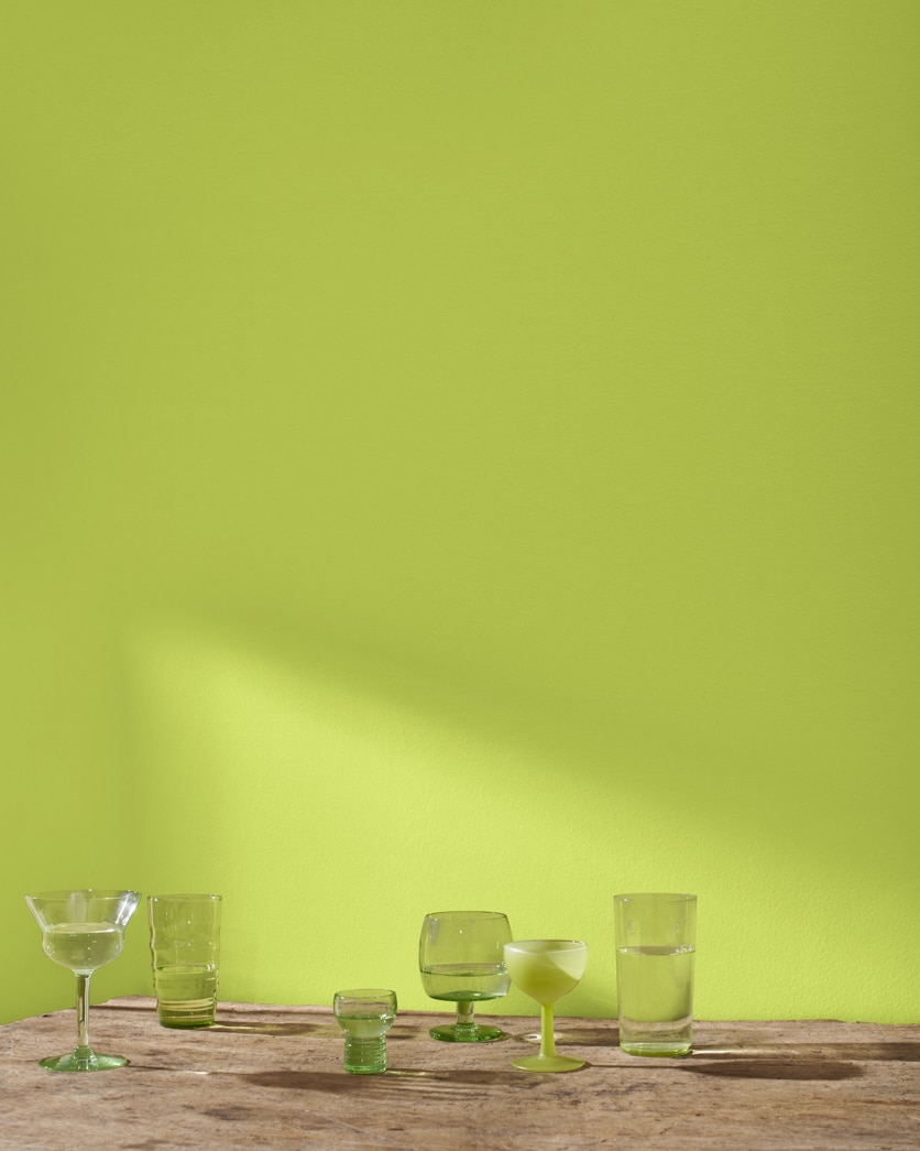 Painted wall in Limeade CSP-865