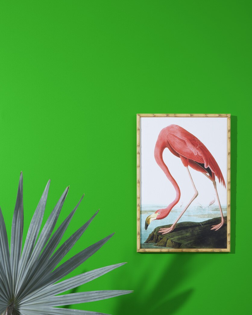 Painted wall in Lizard Green 2030-10