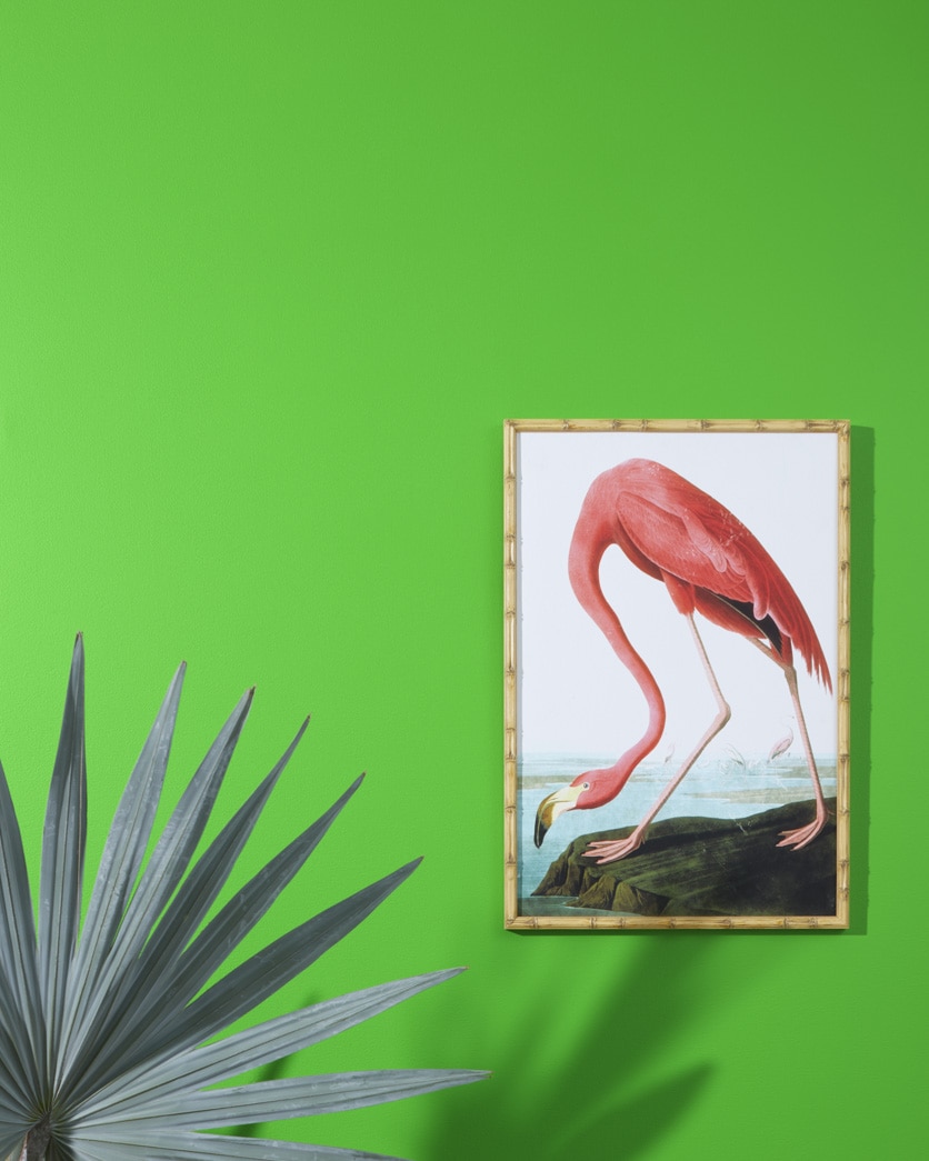 Painted wall in Lucky Charm Green 2030-30