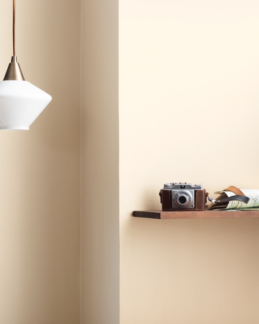 Painted wall in Lychee AF-40
