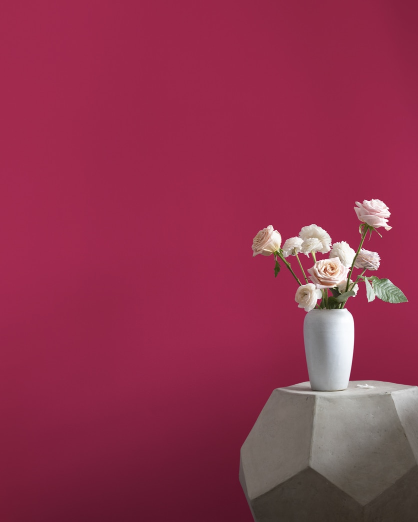 Painted wall in Magenta 2077-10