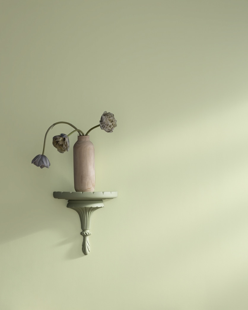 Painted wall in Maidenhair Fern 500