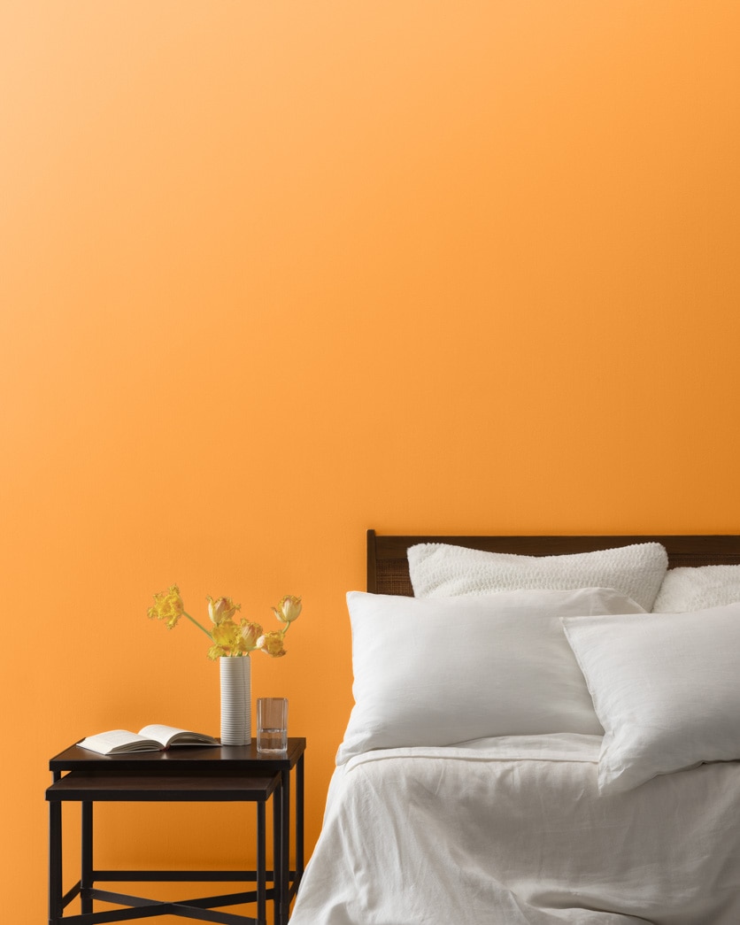 Painted wall in Mango Punch 154