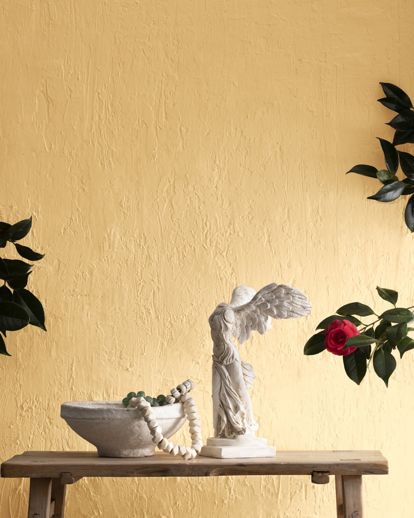 Painted wall in Maple Fudge CC-242