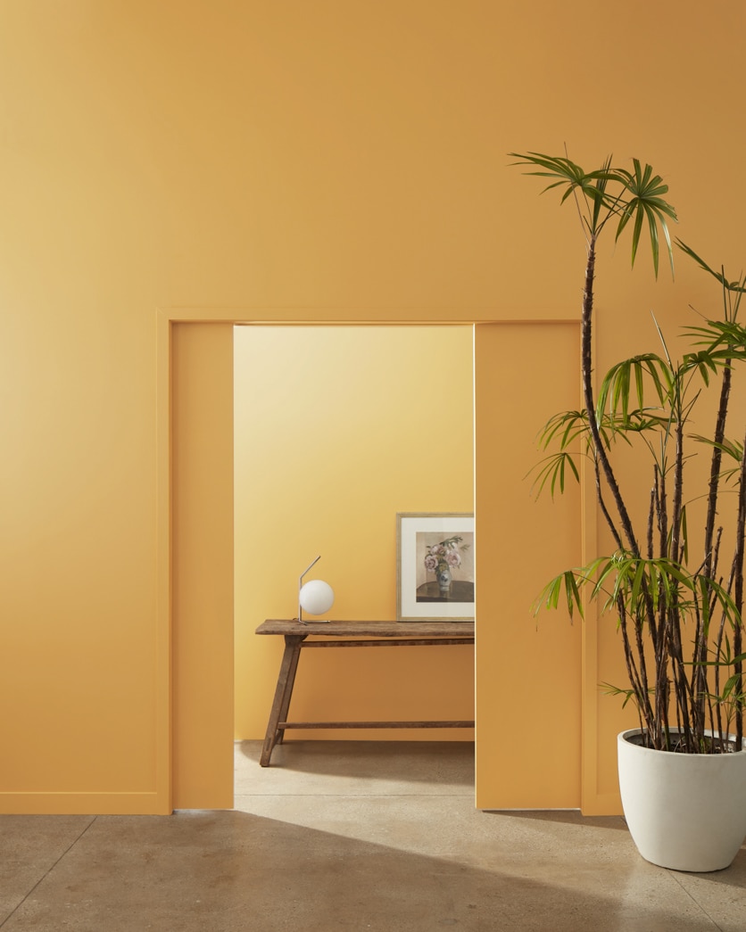 Painted wall in Maple Sugar 2160-30