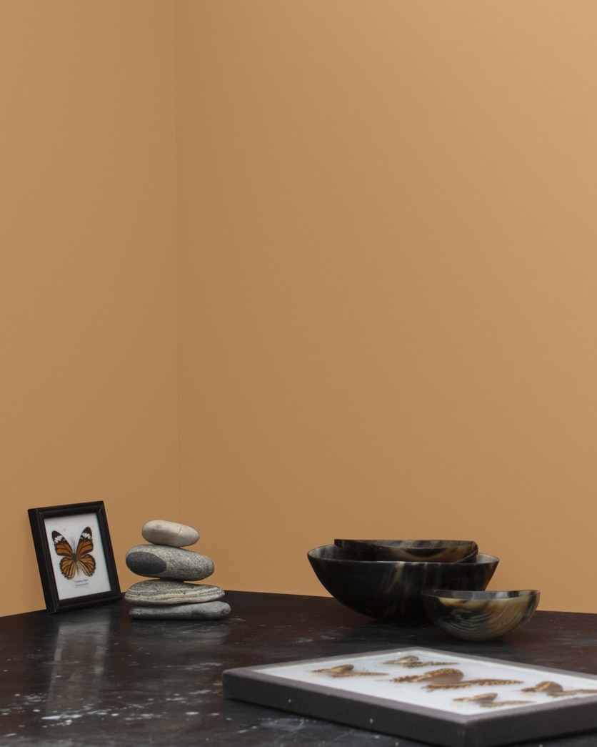 Painted wall in Maple Syrup 1105