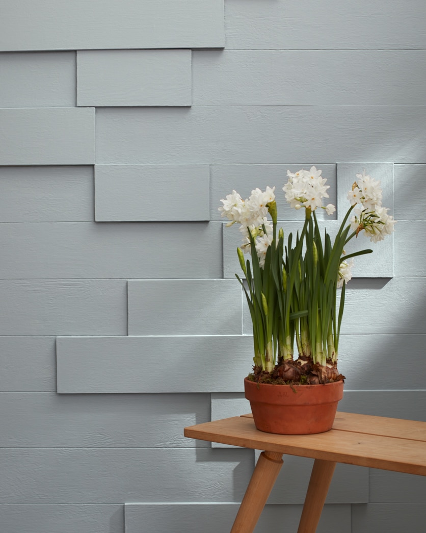 Painted wall in Marina Gray 1599