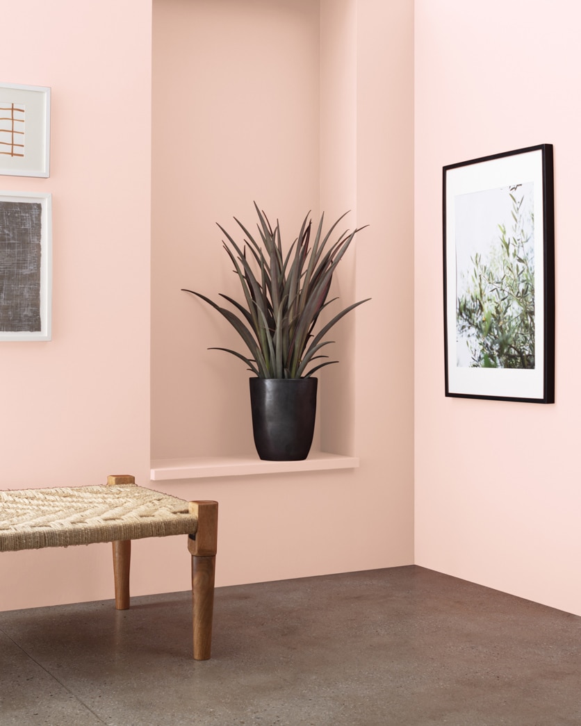 Painted wall in Marry Me 1289
