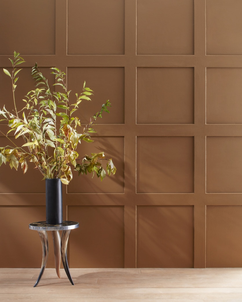 Painted wall in Marsh Brown 2164-20