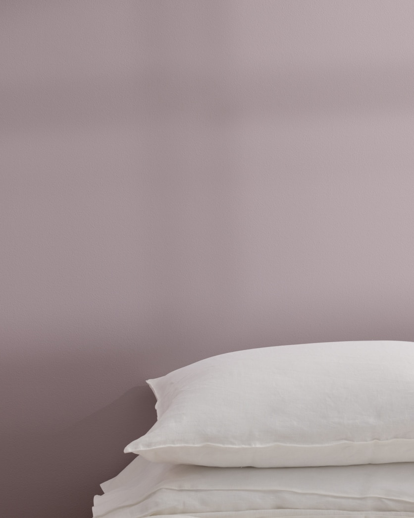 Painted wall in Mauve Blush 2115-40