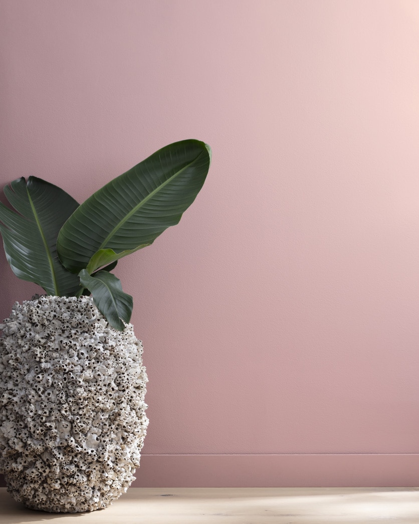 Painted wall in Mauve Mist 1264