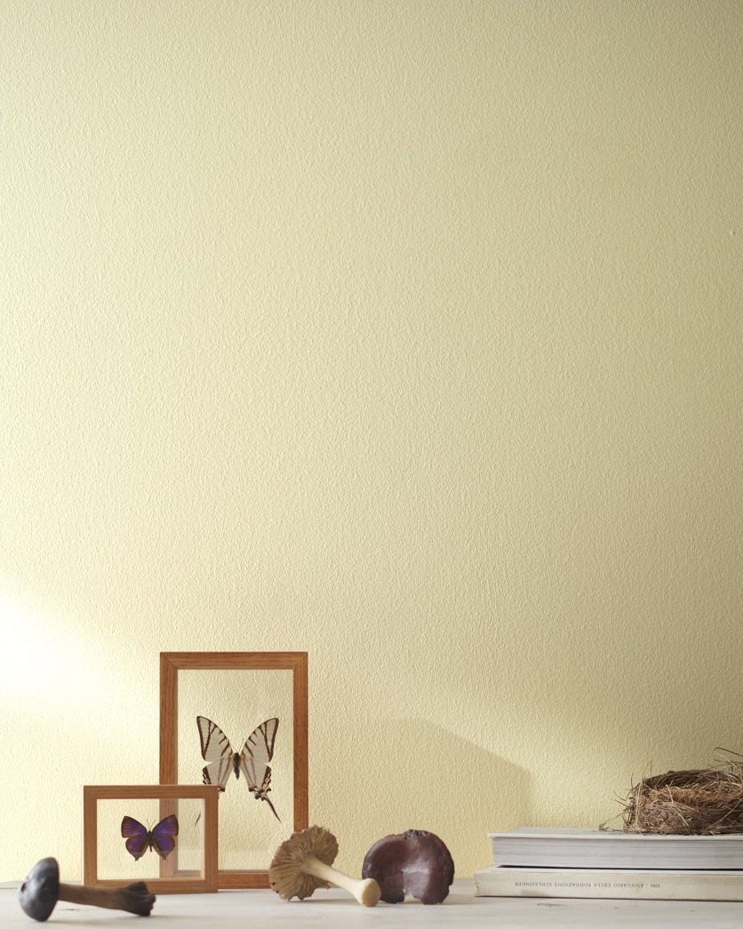 Painted wall in Mellowed Ivory 2149-50