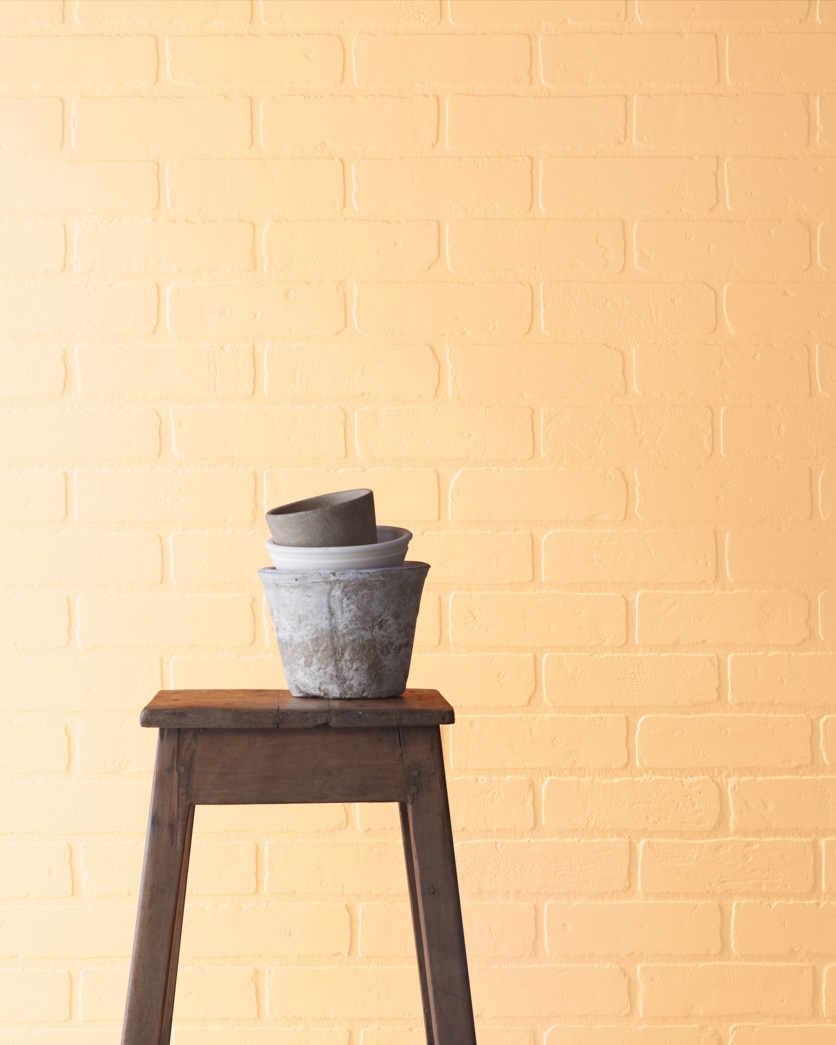 Painted wall in Melon Popsicle 2016-50