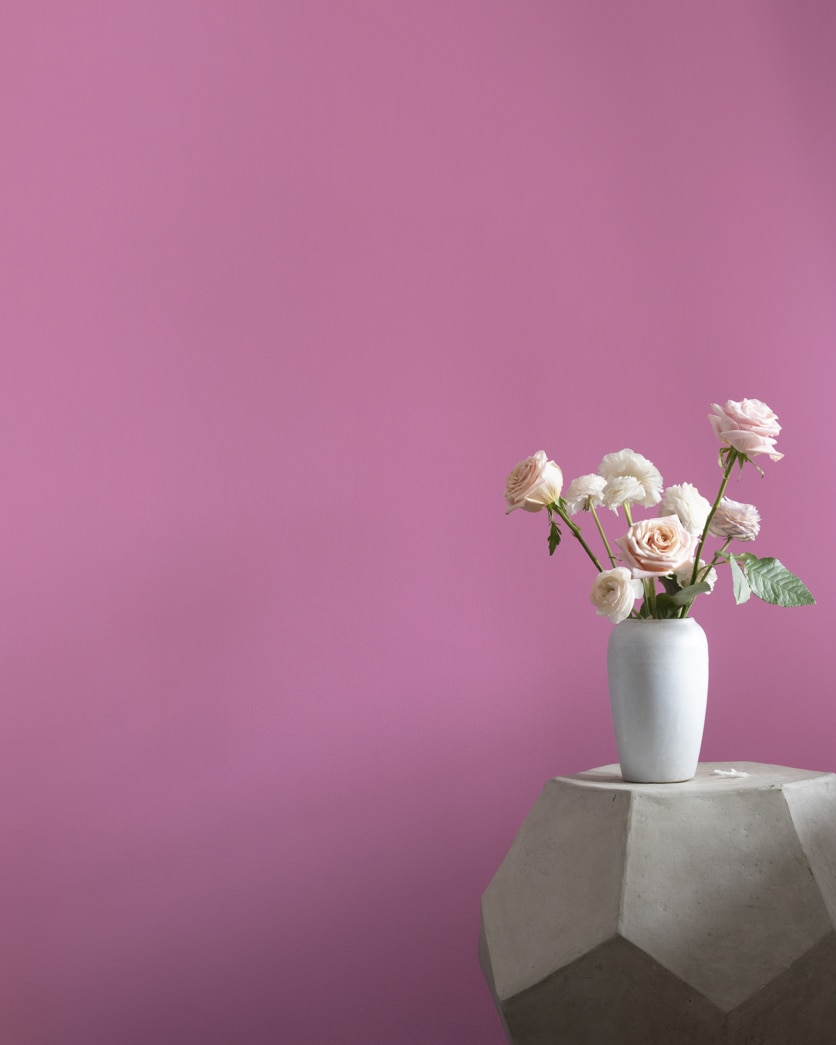Painted wall in Melrose Pink 1363