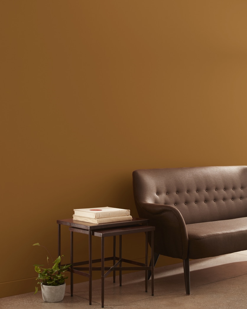 Painted wall in Mexican Hot Chocolate CSP-1080