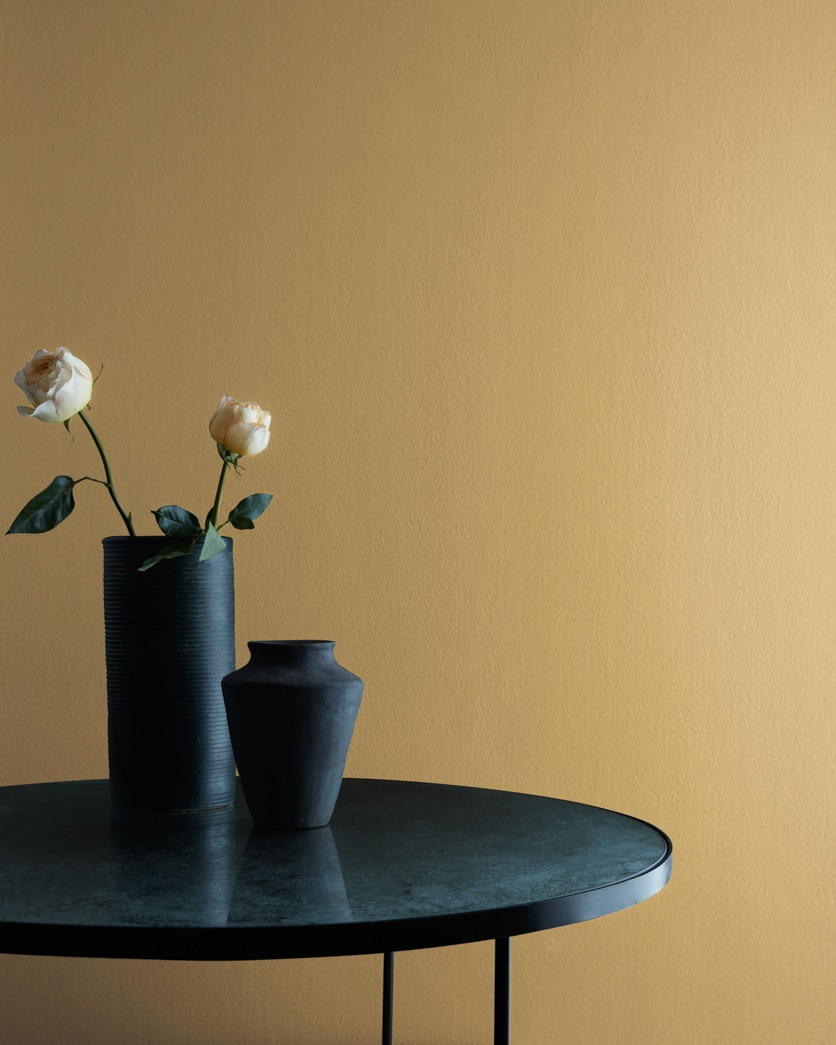 Painted wall in Military Tan 2148-30