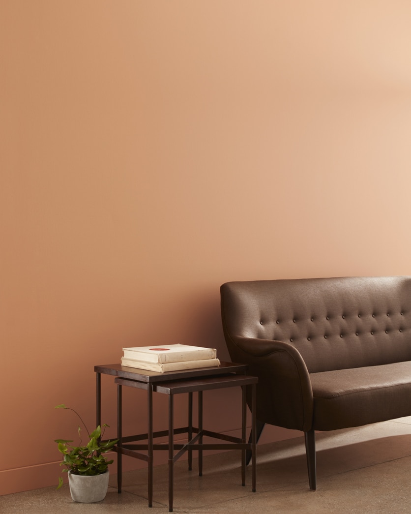 Painted wall in Milk and Honey AF-210
