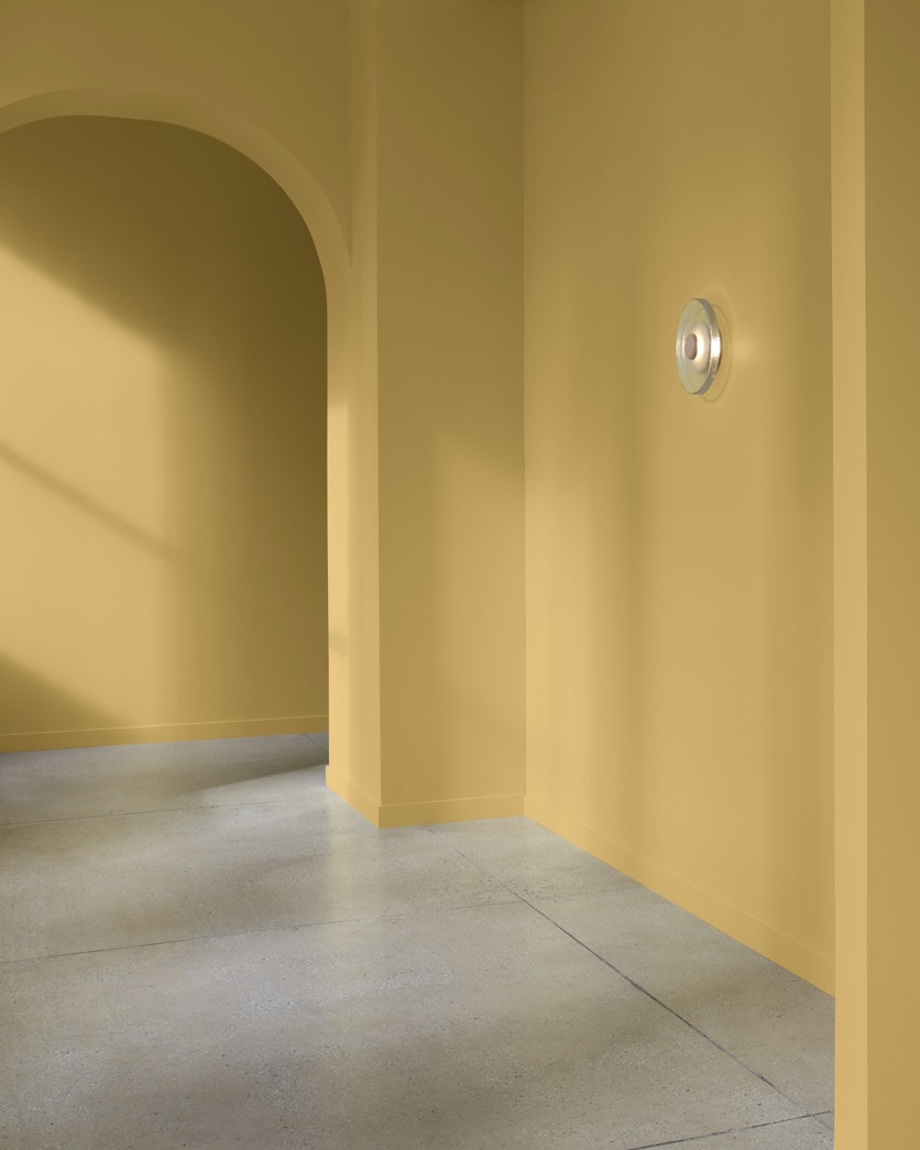 Painted wall in Millington Gold HC-13