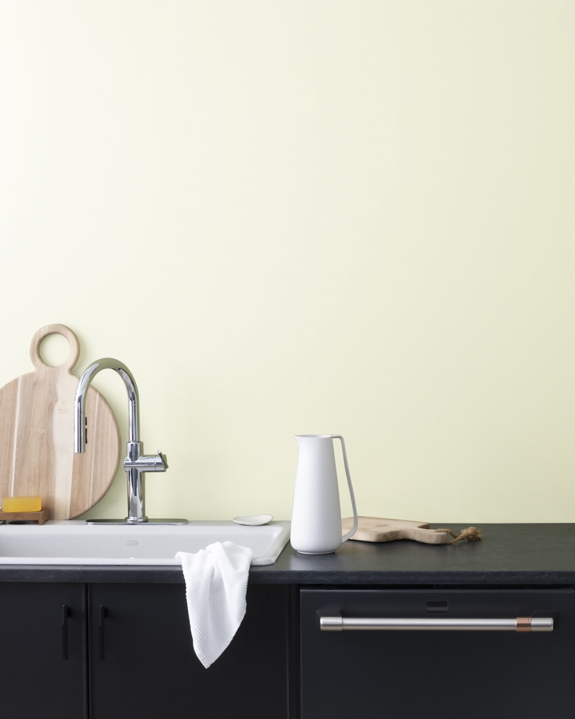 Painted wall in Minced Onion 2145-60