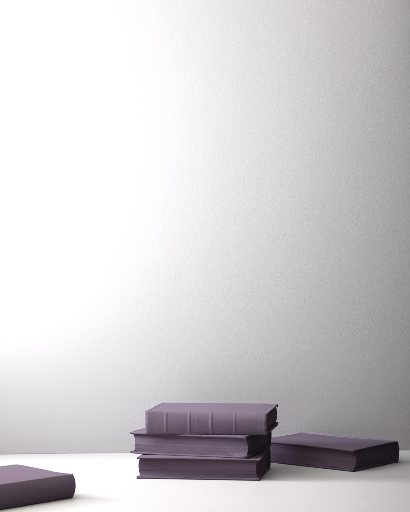 Painted wall in Mirage White 2116-70