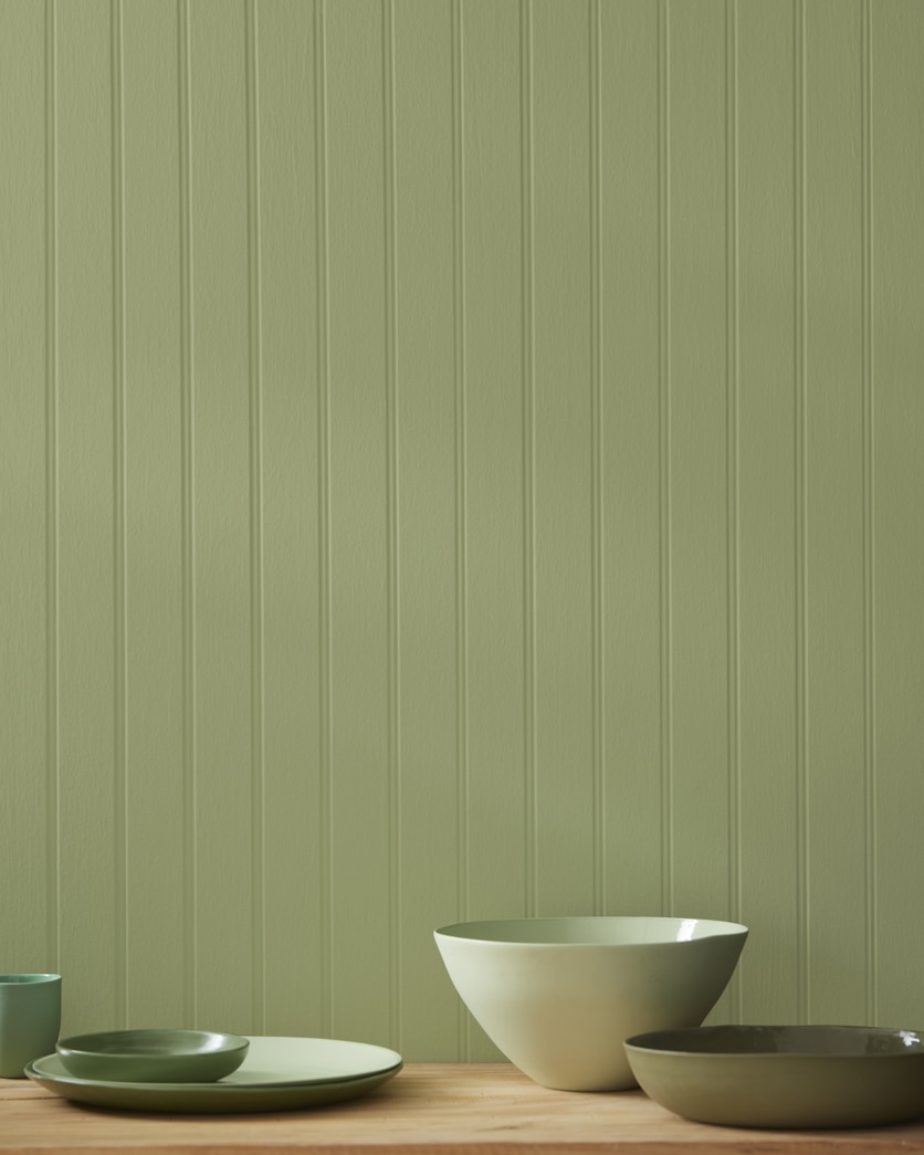 Painted wall in Misted Fern CC-668