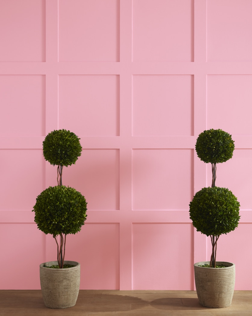 Painted wall in Misted Rose 1339