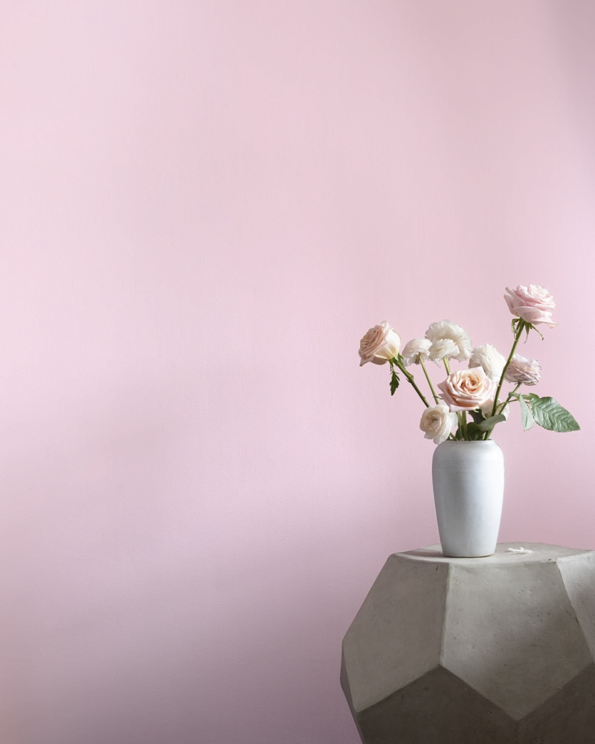 Painted wall in Misty Rose 1360