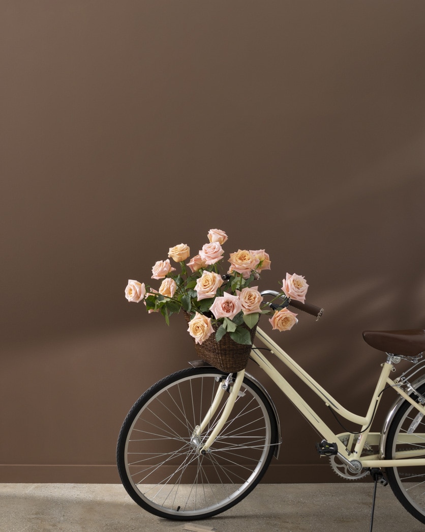 Painted wall in Mocha Brown 2107-20