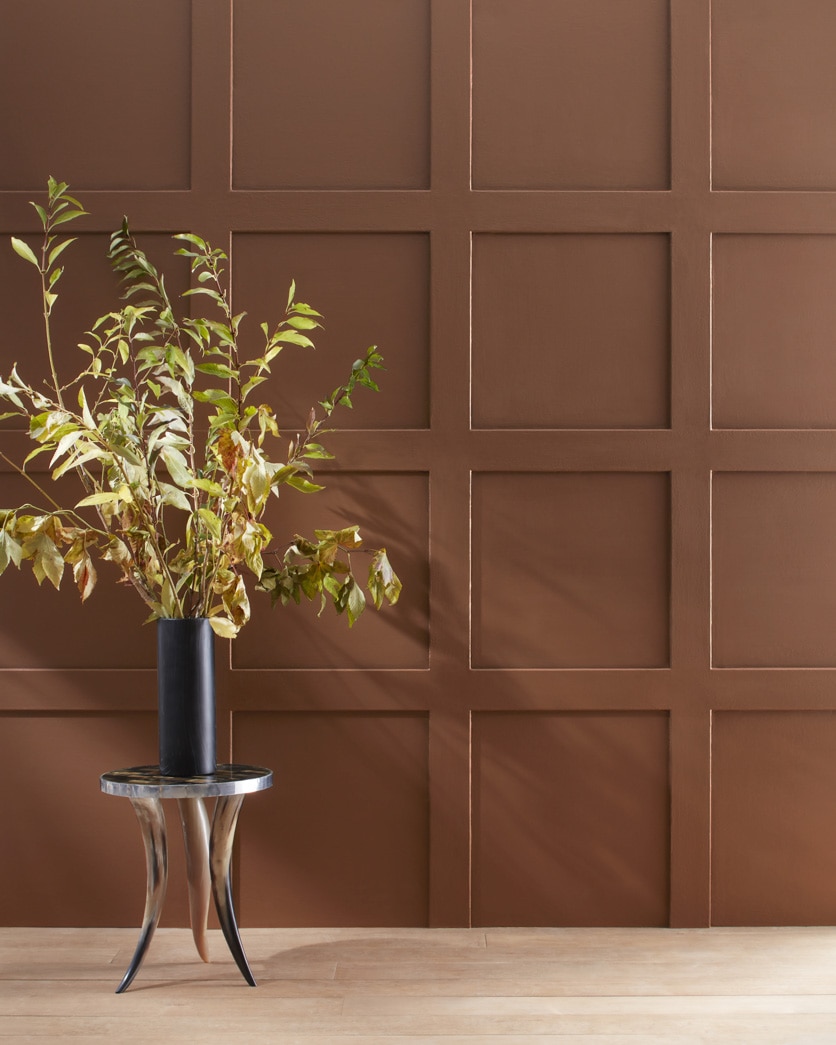 Painted wall in Mocha Madness 2100-10