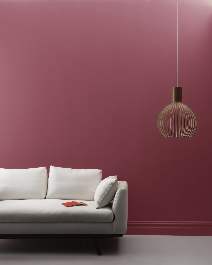 Painted wall in Modern Romance CSP-435