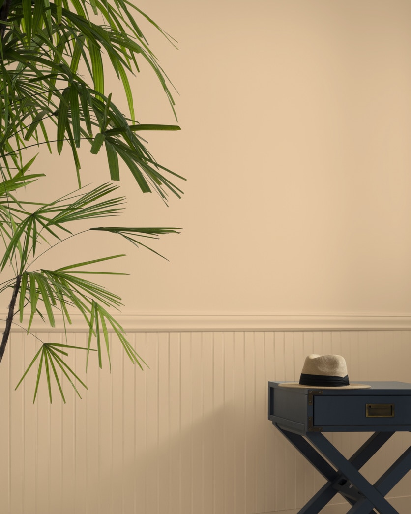 Painted wall in Monarch Gold 1109