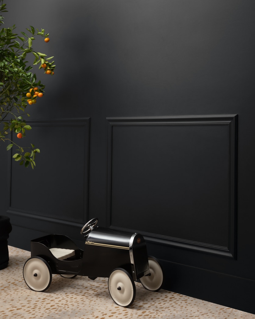 Painted wall in Mopboard Black CW-680